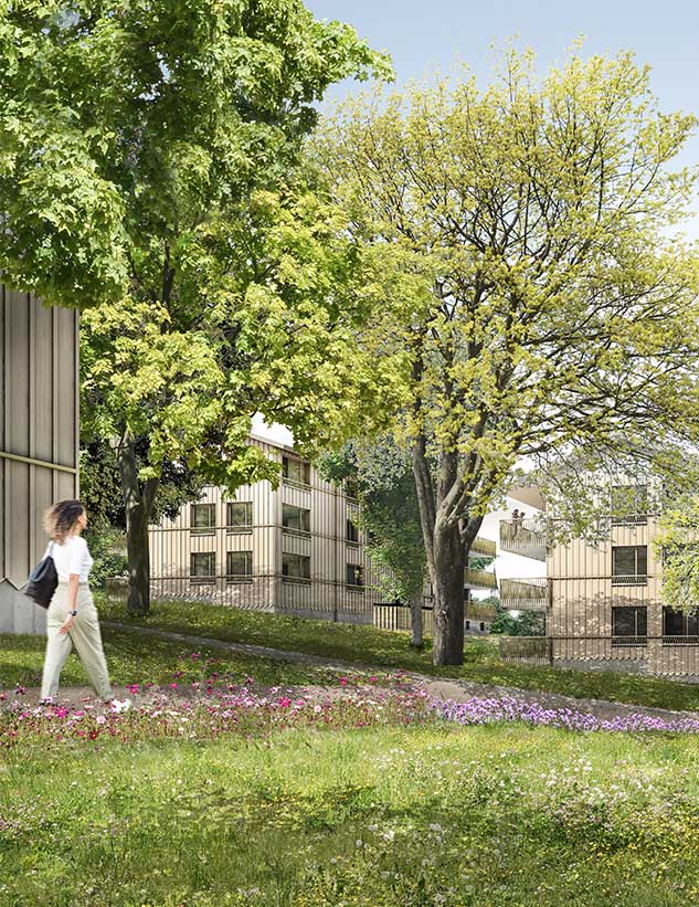 **Wohnbau Oberdorf Lothalden, Altnau TG** Stoffel Schneider Architekten AG Mit langen, schmalen Baukörpern wird das dörfliche Bebauungsmuster aufgegriffen. Als freiräumlicher Schwerpunkt formiert sich die bestehende Baumgruppe mit imposanten Laubbäumen in deren Mitte. Die Baukörper sind in zwei Gruppen um den alten Baumbestand angeordnet und bilden einen Freiraum, der die Mitte einnimmt. Die Baugruppen verzahnen sich im Osten mit dem Einfamilienhausquartiert und an der Lothalde mit der Freihaltezone. Die vorgezogenen, langen Gebäude fassen den mittigen Freiraum im Norden und Süden ohne die neue Bebauung gegenüber der Nachbarschaft abzuschliessen. Die starke Hanglage bewirkt, dass sich die Gebäude gegenüber der Kirche unterordnen und der Blick auf die Kirche freigespielt wird. Parallel zum Hang und durch den mittigen Freiraum sind grosszügige Durchblicke quer durch die Bebauung gewährleistet. Die Topografie wird in ihrer heutigen Form belassen. Die Gebäude mit Zugängen und Loggien sind so gestaltet und ins Terrain eingesetzt, dass nur minimale Terrainanpassungen notwendig sind.