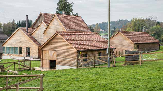 **Die Häusergruppe des neuen Taunerhauses Hörhausen mit dem Kleintierstall im Vordergrund** Der aus drei Teilhäuser mit je einem eigenen Giebel bestehenden Anbau, die Garage und der Kleintierstall für die Ziegen bilden zusammen einen neue Häusergruppe in der Siedlungsstruktur des Dorfes Hörhausen. Alle Dächer sind mit alten Biberschwanzziegel in changierender Färbung gedeckt. Die Fassadenbekeidung der Neubauten sind mit Lärchenholzlatten im Querschnitt von 5 x 5 cm verleidet.