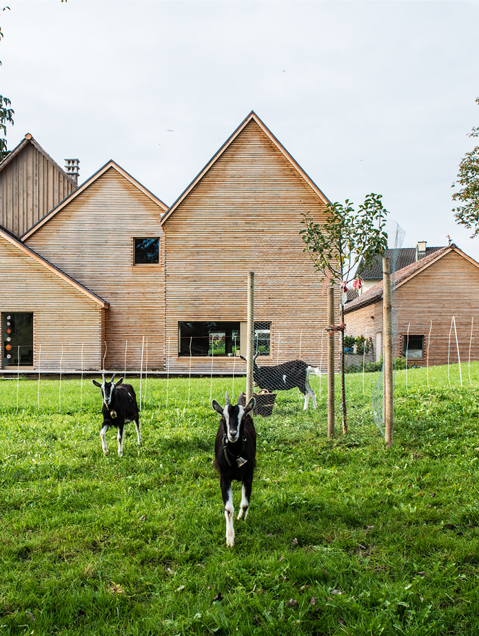 Umbau und Anbau Wohnhaus, Hörhausen TG. Das alte Kleinbauernhaus am Rand des Dorfkerns von Hörhausen befindet sich schon lange in Familienbesitz und wurde für den nächsten Nutzungsabschnitt als Wohnhaus saniert und erweitert. Alt- und Neubau formen mit der Garage zusammen den Zugangsplatz. Auf der Gartenseite fasst ein Kleinbau zur Tierhaltung den privaten Aussenraum. Das Gebäudeensemble orientiert sich an der Massstäblichkeit des Dorfes und führt die herkömmliche lose und kleinteilige Ansammlung von Nutz- und Nebenbauten mit einem Gefüge aus Satteldächern weiter. Das alte Taunerhaus wurde gedämmt und unter Wahrung der bestehenden Substanz zurückhaltend saniert. Der alte Kachelofen und ehemalige Fensterdurchbrüche blieben am angestammten Platz. Im einstigen Bauernhaus sind die Individualräume und Bäder zu finden. Der neue Teil nimmt die Küche mit dem doppelgeschossigen Ess- und Wohnraum auf. Die verschiedenen Gebäudeteile sind auf allen Geschossen miteinander verbunden.