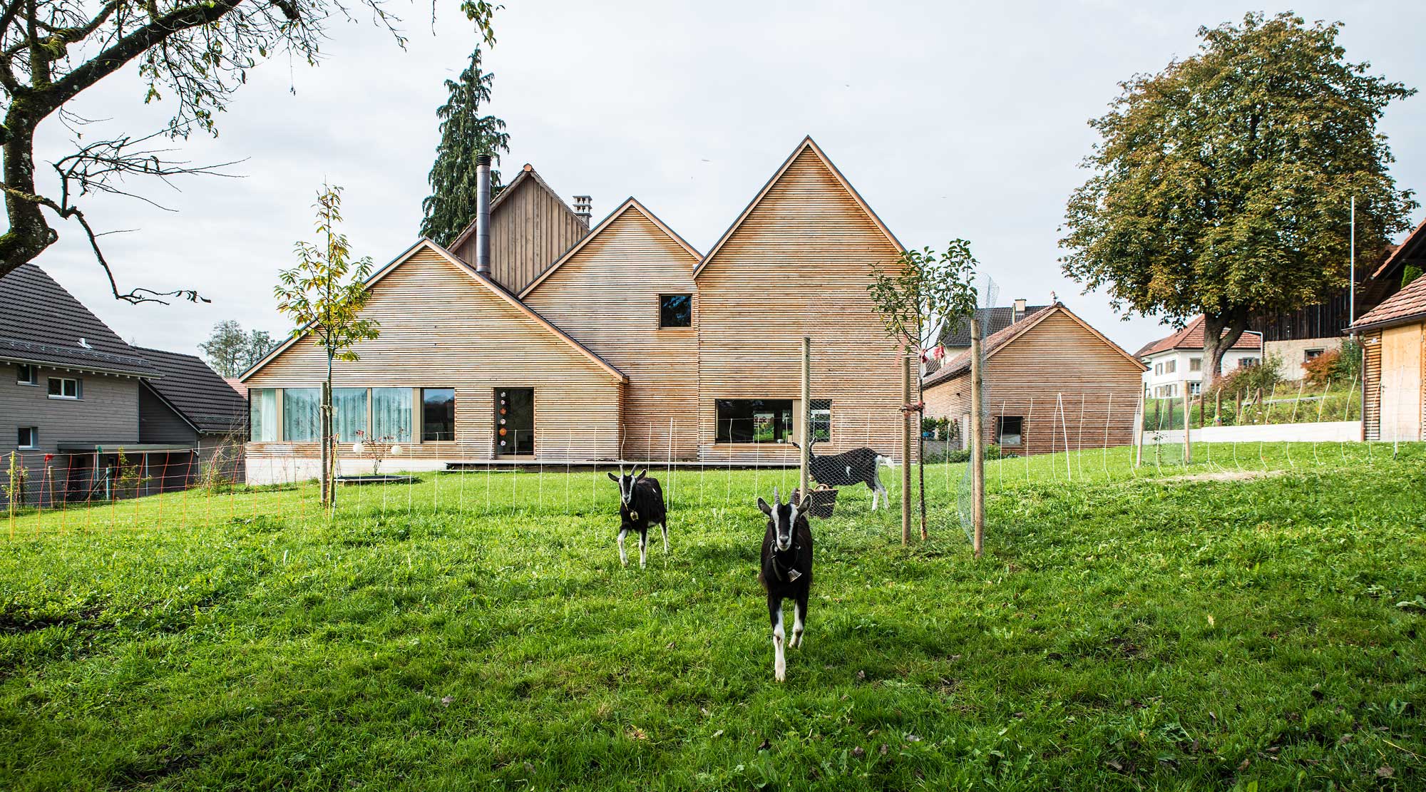 Das Taunerhaus in Hörhausen Kanton Thurgau ist ungefähr zweihundertfünfzig jährig und ein einfaches Bauernhauses eines Tagelöhners. Der Anbau für sich stirnseitig auf der Ostseite an den Altbau. Er gliedert sich in drei von aussen ablesbaren Volumen mit je einem eigenen First. So entsteht ein Ensemble aus unterschiedlich hohen, gleich ausgerichteten Gabeln welche um das Giebeldach der Garage und des Kleintierstalls ergänzt werden. Die Fassade des Neubaus besteht aus einer horizontalen Lärchenholzschalung mit Einzellatten von 5 x 5 cm Querschnitt. Die Fenster sind mit Leibungsbrettern aus Eiche eingefasst. Sämtliche Dächer sind mit Biberschwanzziegeln bedeckt. Die Ziegen des Kleintierstalls grasen auf dem das Taunerhaus umgebende Grundstücks.