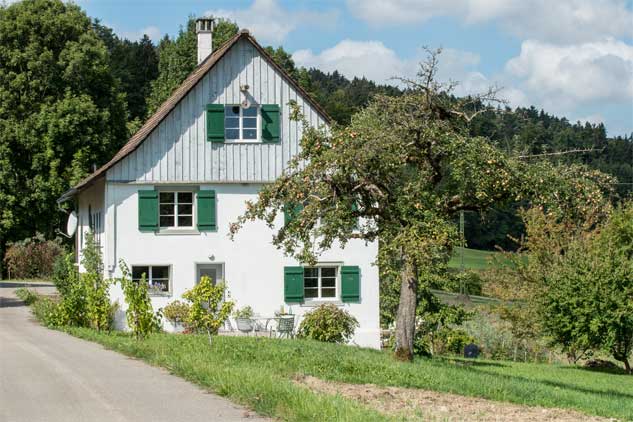 **Ostfassade**  Die Ostseite des Taunerhauses ist bis auf den bereits vorgefundenen Einbau eines direkten Zugangs in den Garten unverändert. Der Holzschild des Giebelfeldes wurde in einer Deckleistenschalung erneuert und die Umlenkrolle als Lastenaufzug unter dem First wieder angebracht. Im Vordergrund steht ein Apfelbaum als Hochstamm der traditionsreichen Liebehabersorte Gravensteiner.